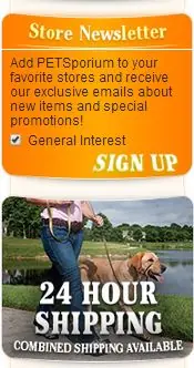 Custom eBay Store Templates