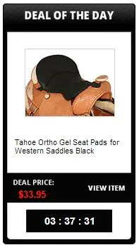 Custom eBay Store Template