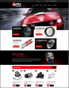 Shopify Themes