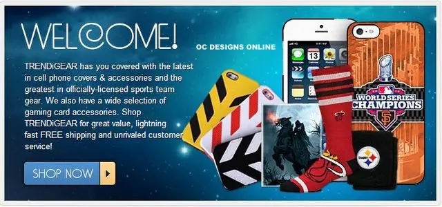 Welcome sections in eBay store designs