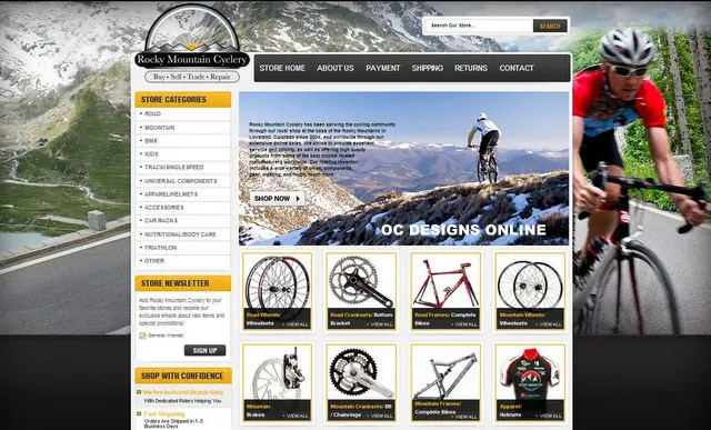 How much does a bike shop custom eBay store design cost