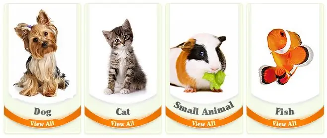 eBay custom category page