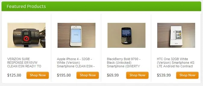 Maximize Listings for eBay Store