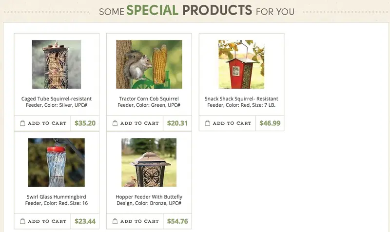 Custom BigCommerce Store Footer